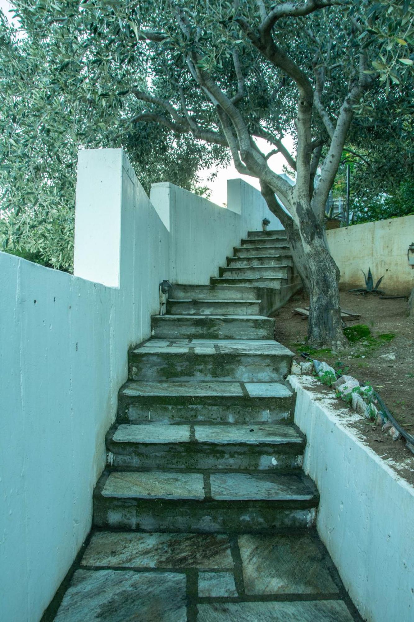 Maya'S Home Dhaskalion Ngoại thất bức ảnh